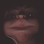 Thomas Holbrook - @holbrookbrobrook - Instagram
