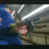 thomasholding - @scotthampsire - TikTok