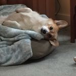 Holiday Thomas - @holiday_thomas - Instagram