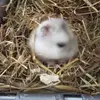thomasholiday - @thomasholiday58 - TikTok