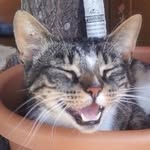 Thomas Holman - @_thomas_holman_ - Instagram