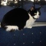 Thomas Holmquist - @thomas.holmquist.12 - Instagram