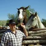 Thomas Hölscher - @thomas.holscher.33 - Instagram