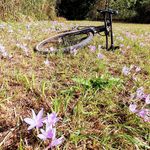 Thomas Hölscher - @_thomas_hoelscher - Instagram
