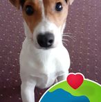 Thomas Holtermann - Facebook