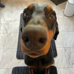 Thomas Holtkamp - @holti_tom68 - Instagram