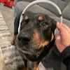 ThomasClaw7167 - @thomasclaw7167 - TikTok