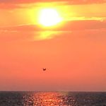 Thomas Holzwarth - @thomhox - Instagram