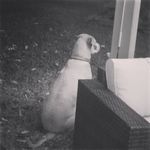 Thomas Holzwarth - @satx_tmack - Instagram
