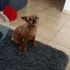 thomasholzwarth55 - @thomasholzwarth55 - TikTok