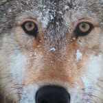 ThomasHolzwarth - @thomasholzwarth5 - Instagram