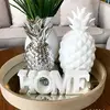 ThomasHome4 - @thomashome4 - TikTok