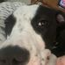 Thomas Hopkinson - Facebook