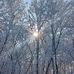 Tom Hornbaker - Facebook