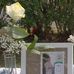 Remembering Thomas E Hosack S.R. - Facebook