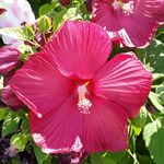 Thomas W. Hostetler - @thomas_w_hostetler - Instagram