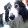 Thomas Hosty - @thomas.hosty - TikTok