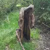 Luschenbezwinger - @thomashotz663 - TikTok