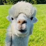 Thomas Hotze - @thomashotze - Instagram