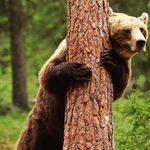 Thomas Houk - @timesiditimetamimi - Instagram