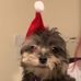 Thomas Howlett - Facebook