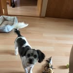 Thomas - @thomashoyt2137 - Instagram