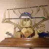 Thomas Huestis - @thomas.huestis - TikTok
