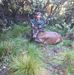 Tom Hugill - Facebook