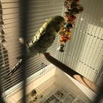 Thomas Hulse - @hulse1015 - Instagram