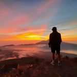 Thomas Humbert - @thomashumbert - Instagram