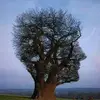 Thomas Humbert - @thomas.humbert4 - TikTok