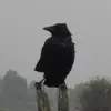 Thomas - @thomas.humbert_ - TikTok