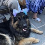 Thomas Humphreys - @humphreys38 - Instagram