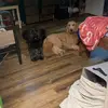 thomashumphreys13 - @thomas.humphreys50 - TikTok