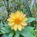 Thomas Hund - Facebook
