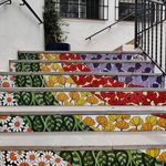 Thomas Hunkele - @thomas.hunkele - Instagram