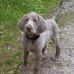 Thomas Hunn - Facebook