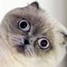Thomas Hurrell - Facebook