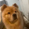 Thomas Hurtado - @robo._.on._.fn - TikTok