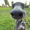 thomashurtado82 - @thomashurtado82 - TikTok