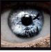Tom Iacobucci - Facebook