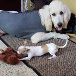 Donna Doonan - @thomas.inglis.39 - Instagram