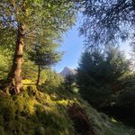 Thomas Innes - @2.tomo - Instagram