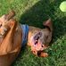 Thomas Innes - Facebook