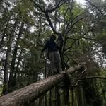 thomas jackson - @thomasjackson.cc - Instagram