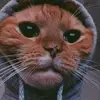 Thomas Jacobo Granad - @thomasjacobogranados8 - TikTok