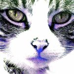 Thomas Jacobs - @thomas.jacobs.5661 - Instagram