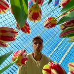 Thomas Janssens - @thomas._.janssens - Instagram