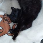 Thomas Jandl - @thomas_jandl - Instagram