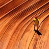 Thomas Janisch838 - @tomjamestravel - TikTok